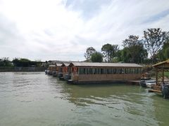-泗洪洪泽湖湿地景区