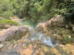 -南海湾森林生态园
