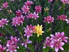 -长春公园(普阳街道)