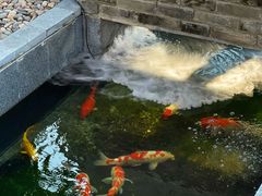 -安多素食(广仁寺路店)