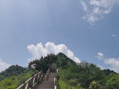 -大岭沟猕猴桃谷风景区