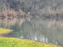 -桤木河湿地公园