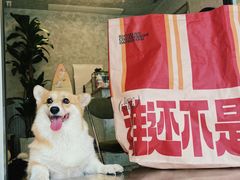 -大芊金重庆串串火锅(南京路店)