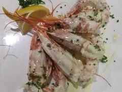 -百好乐宠物友好餐厅(朝外大街店)