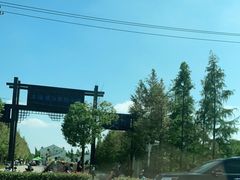 -上海浦江郊野公园-5号停车场