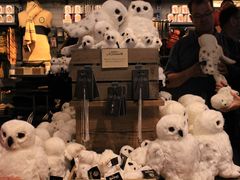 -九又四分之三站台哈利波特商店