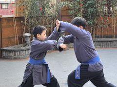 -少林功夫文化中心·独门独院