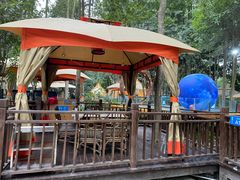 -二荆条·蜀鲜汇城市森林火锅