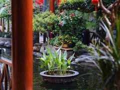 -猪肉婆私房菜(容桂总店)