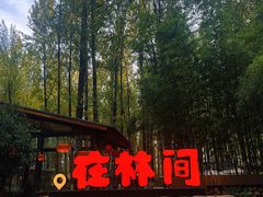 -林间山庄