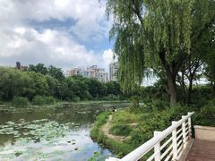 -新江湾城公园