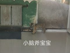 -大连森林动物园