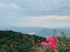 -重庆雨台山风景区
