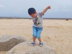 -碧海金沙