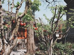 -正阳书局(西四南大街店)