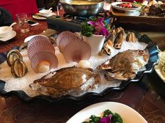 -飞龙大酒店