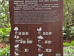 -华侨城湿地公园
