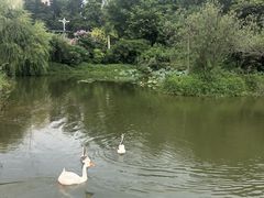 -厦门悦华酒店