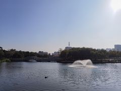 -映月湖公园