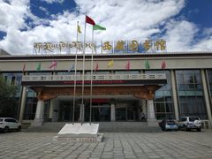 -西藏自治区图书馆