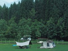 -武陵山森林公园