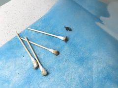 -纳吉亚猫专科动物诊疗中心(蒋宅口分院)
