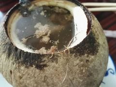 原只椰子炖竹丝鸡-達揚原味燉品(文明路店)