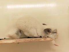 -龙猫仔乐园(惠福东路店)