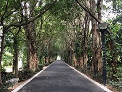 -南宁南湖公园