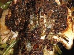 火龙鱼-兰溪小馆(东直门簋街店)