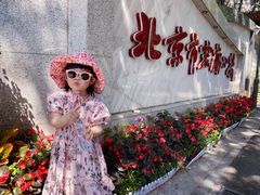 -北京市宏庙小学