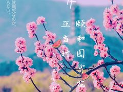 -颐和园