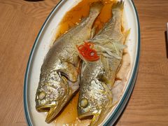 油泼黄花鱼-波螺油子青岛本帮菜(银座店)