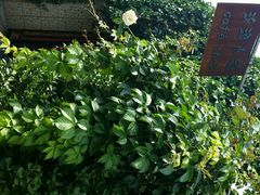 android_upload_pic-陶野咖啡·面包披萨