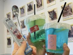 -有喵·猫咖·狗咖·30几只猫10只小狗(岗厦店)