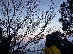 -句容茅山景区