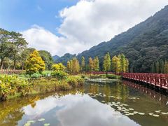 -广州市石门国家森林公园