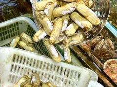 -公寓家常菜馆(海军博物馆店)