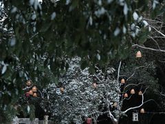 -宁波五龙潭景区