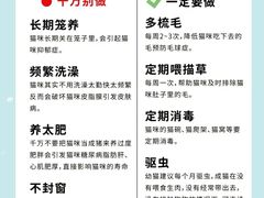 -翊宠yipet猫狗购宠庄园犬舍•猫舍