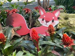 -北京植物园-展览温室