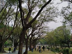 -人民公园(罗湖区)