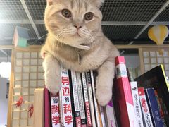 -小时光咖啡馆(开森度假森林店)