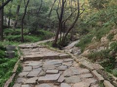 -大泽山风景名胜区