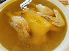 -泰康之家·申园