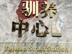 -广东惠东海龟国家级自然保护区