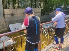 -YBDL青少年篮球发展联盟(海上海店)