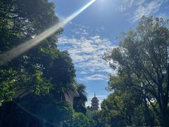 -三水森林公园