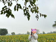 -汉长安城未央宫国家考古遗址公园