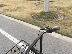 -东华大学(松江校区)